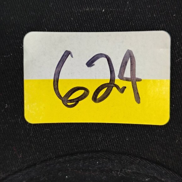 VINTAGE Detroit Red Wings Stanley Cup Champions Hat Cap Strap Back Locker Room - Picture 13 of 13